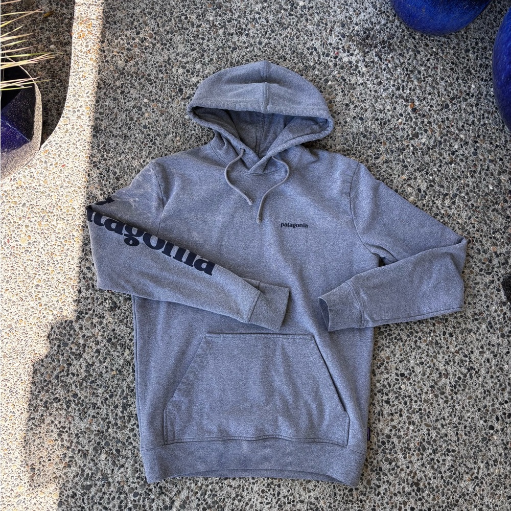 Patagonia Gray Hoodie